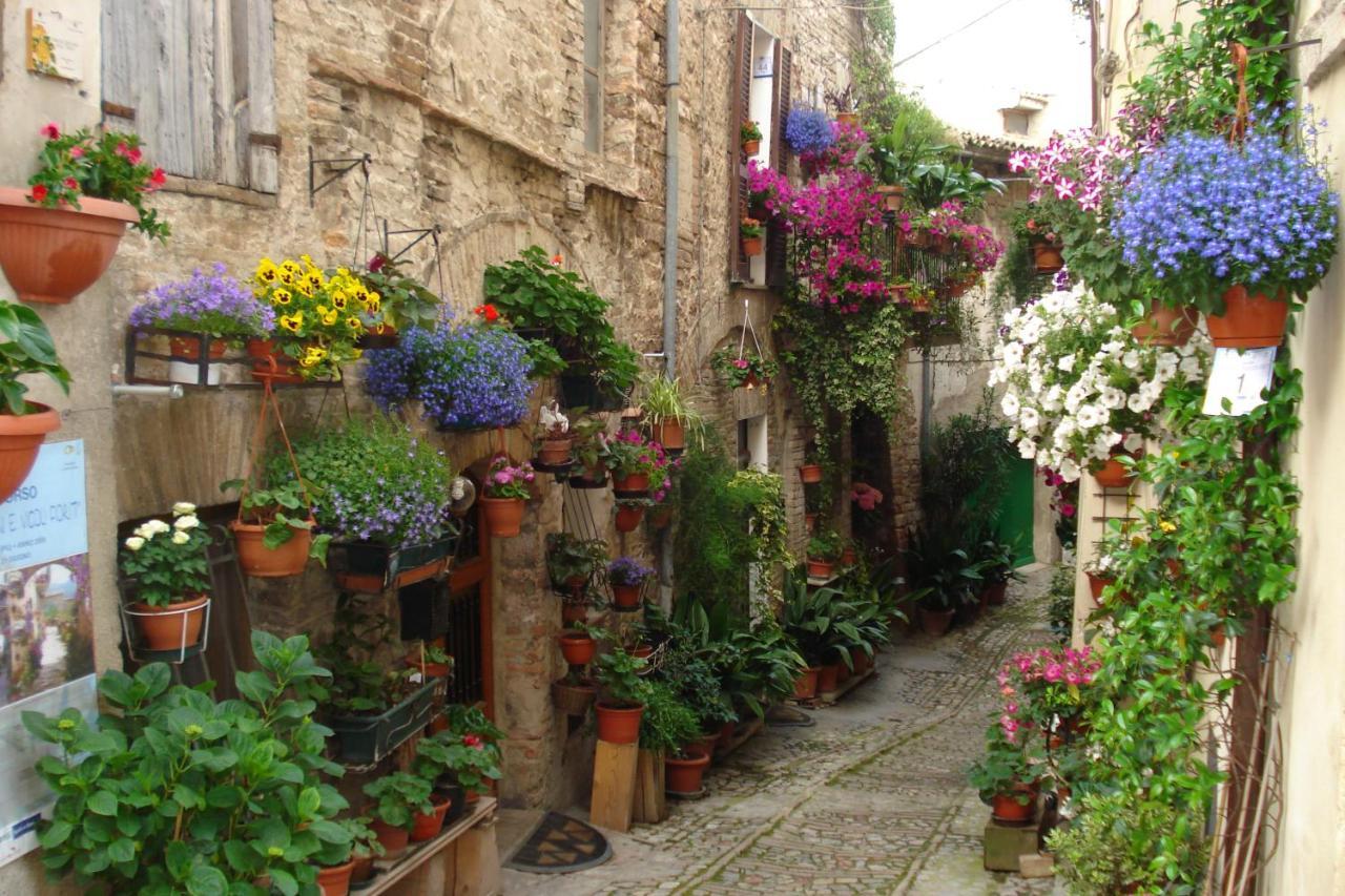 B&B Il Sognatore Περούτζια Εξωτερικό φωτογραφία